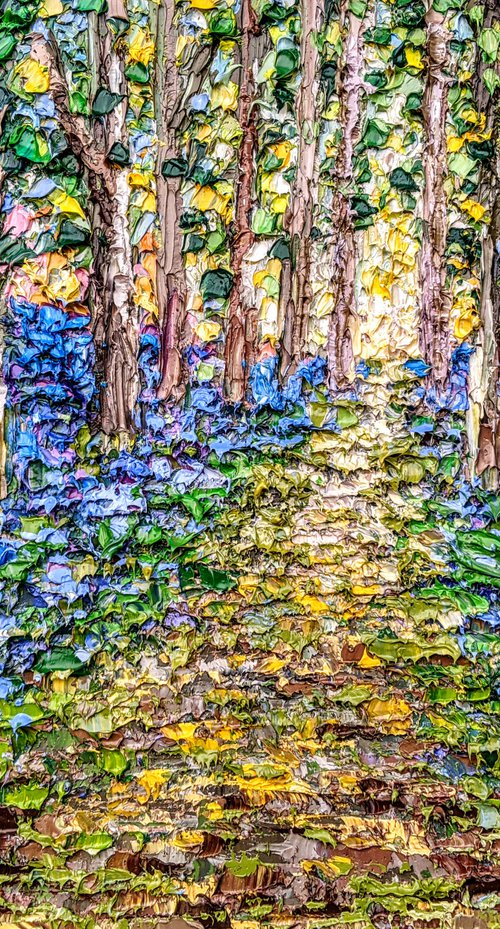 Bluebell valley by Paige Castile