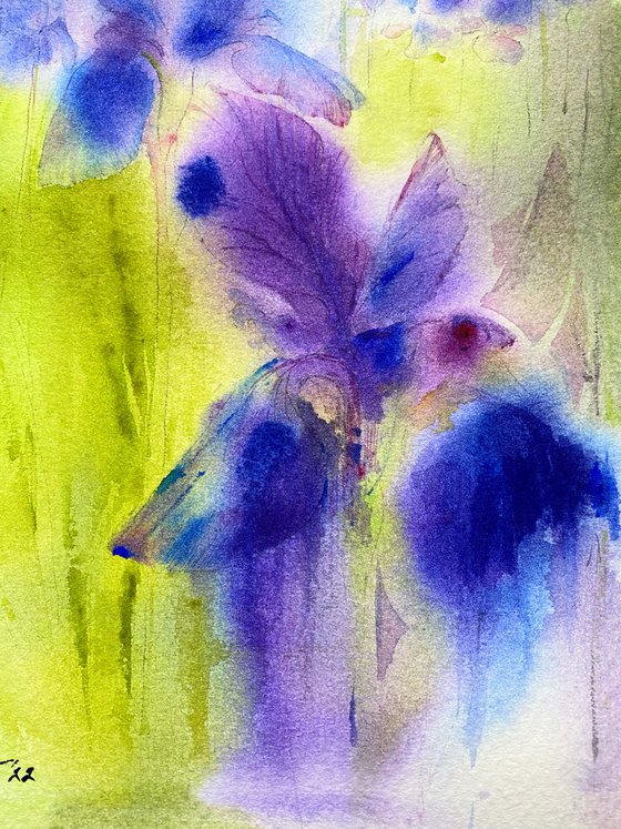 Irises