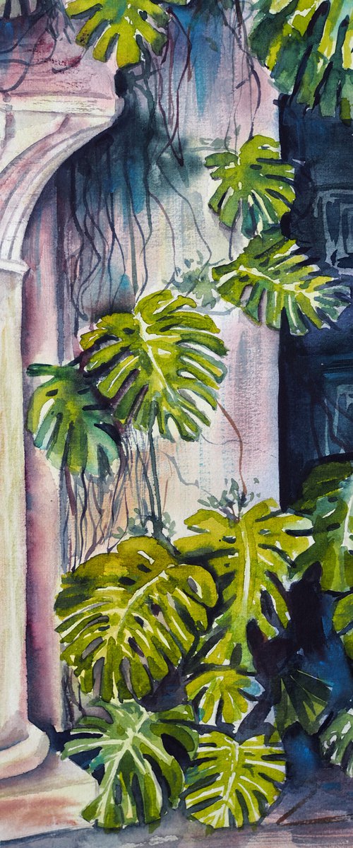 Portuguese courtyard with a monstera plant by Delnara El