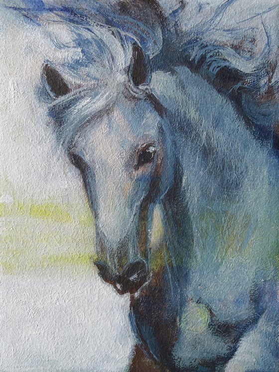 Blue horse