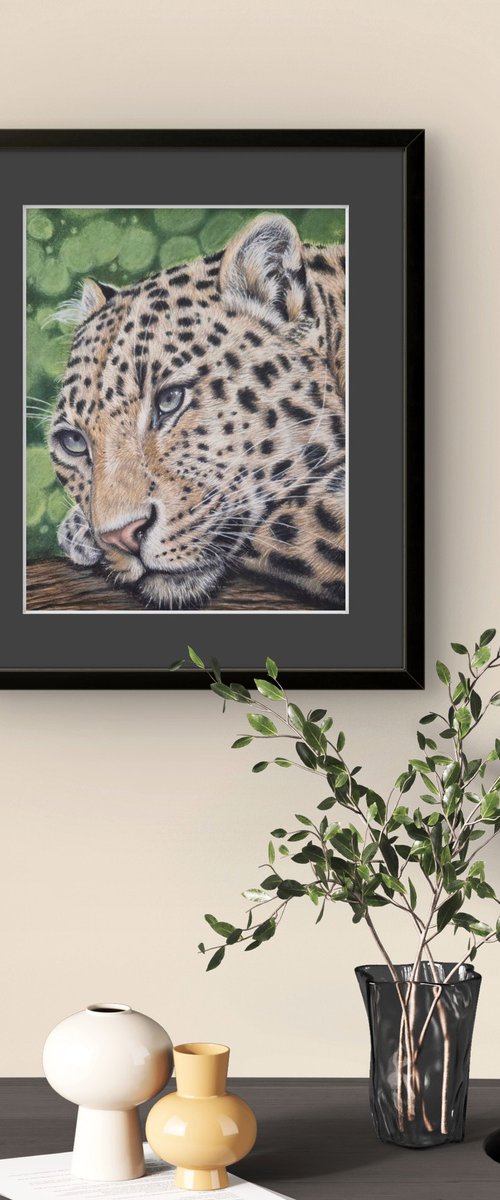 Leopard - Little big cats series no. 1 by Silvia Frei