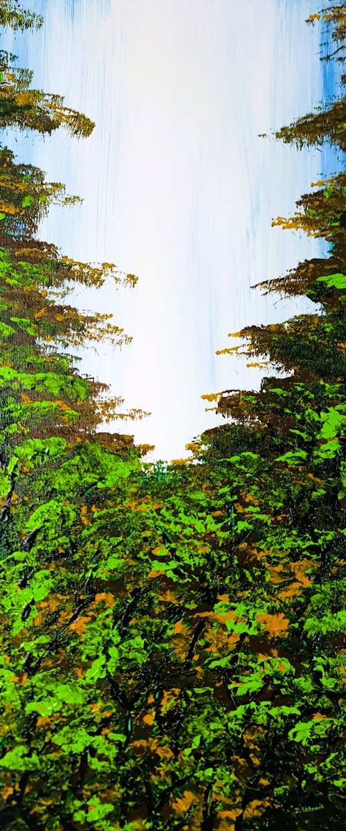 Nice Forest 3 by Daniel Urbaník