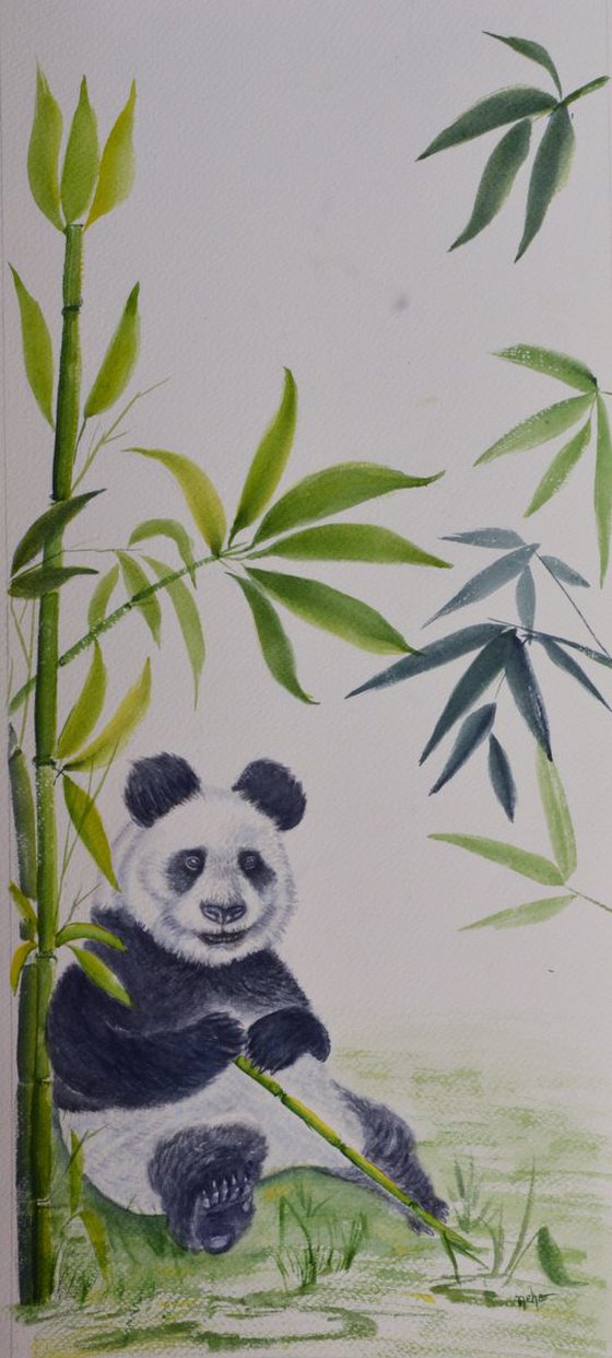 Bamboo with Panda