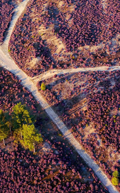 CROSSROADS IN HEADER by Robbert Frank Hagens