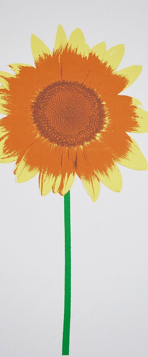 Sunflower by Ed Watts
