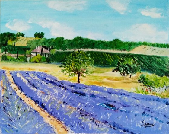 Lavender and vineyard
