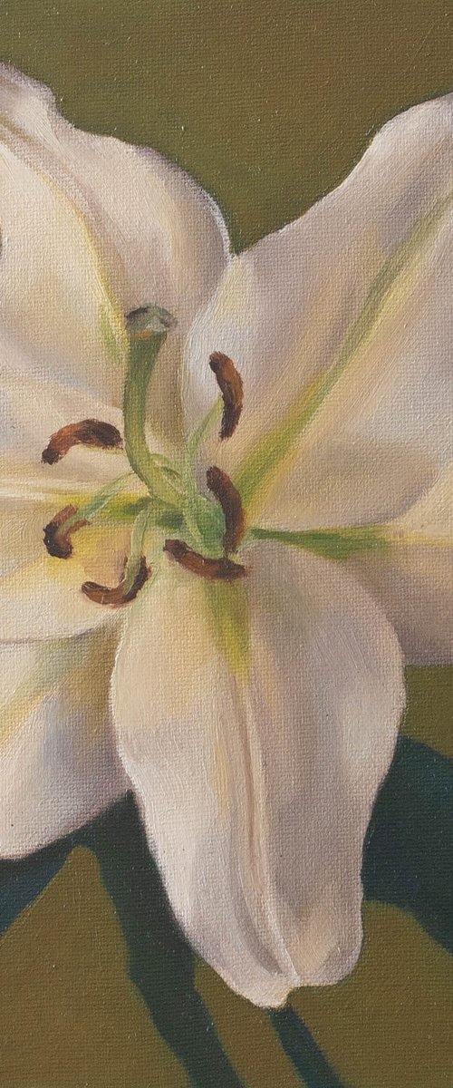 Lily by Katsiaryna Ozdemir