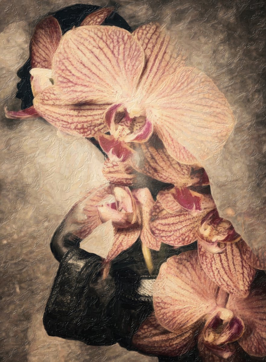 Botanical collection Vol 12. Irises. Art portrait on canvas by Elmira Namazova