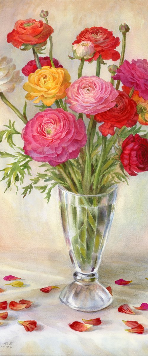 Multicolored ranunculus by Yulia Krasnov