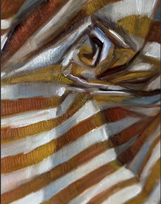 Yellow Striped Cloth