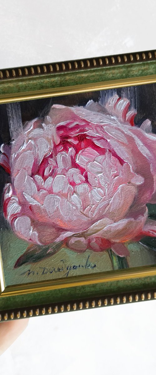 Pink peony flower by Nataly Derevyanko