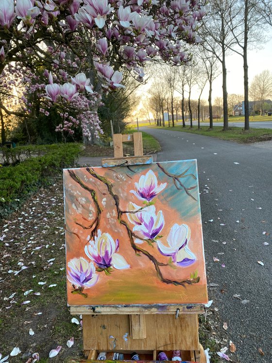 Dutch Magnolia