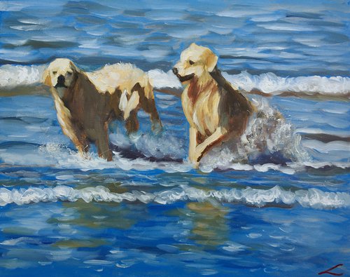 Wet dogs 6 by Elena Sokolova