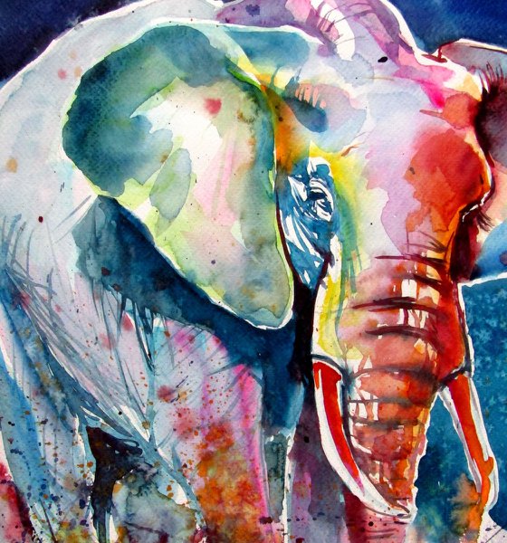 Walking elephant at night