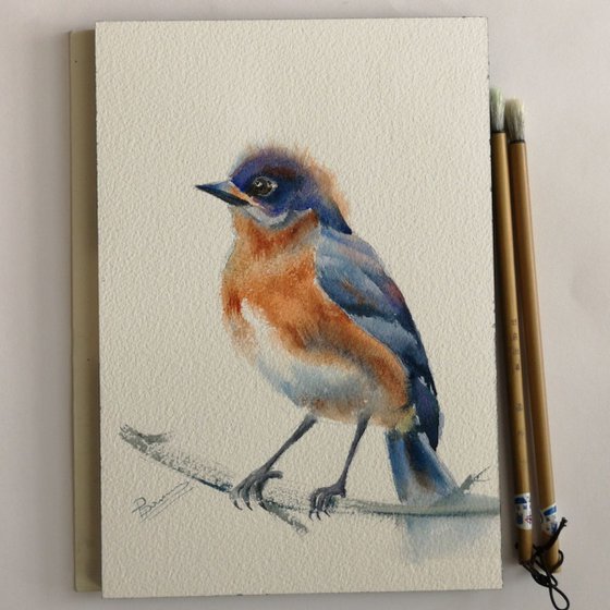 Bluebird on a branch