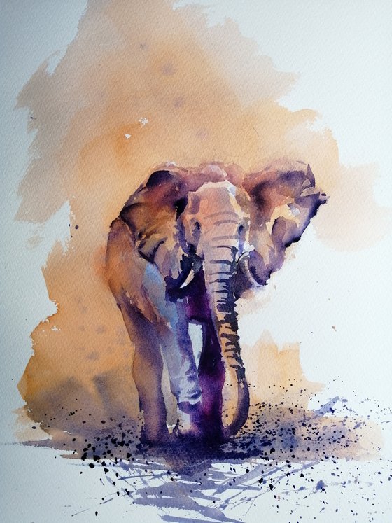 elephant 10