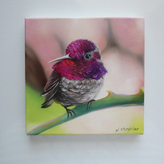 Hummingbird