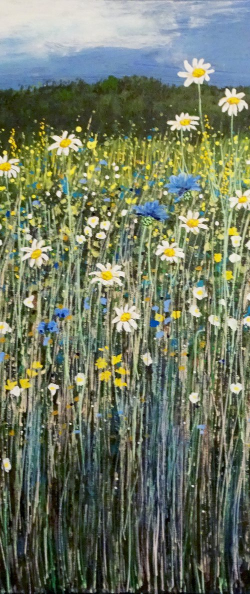 Wildflower Meadow 15 by Roz Edwards