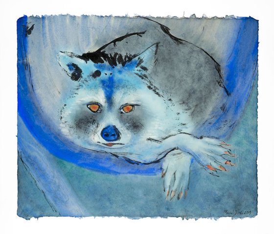 The blue raccoon