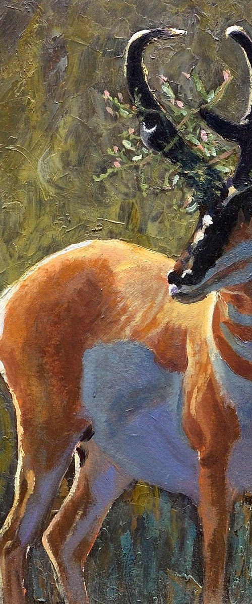 Prairie Royalty by Jason Edward Doucette