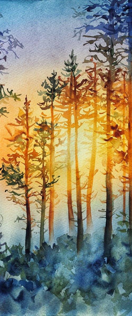 Sunset in the forest by Delnara El