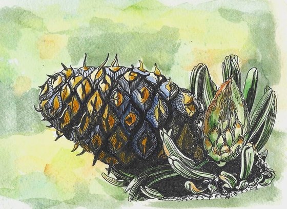 PINE CONE VI