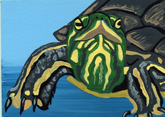 ACEO ATC Original Miniature Painting Painted Pet Turtle Wildlife Art-Carla Smale