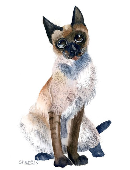 Siamese Cat Original Watercolor painting by Olga Shefranov (Tchefranov)