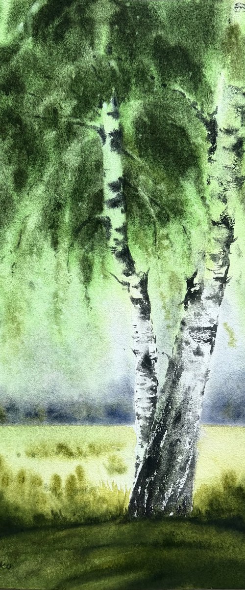 Birch spring by Natalia Butenko