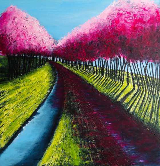 Cherry Road  -  Fields and Colors Series