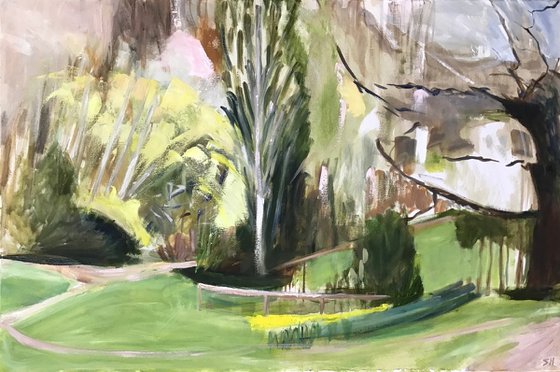 Spring Walk 2