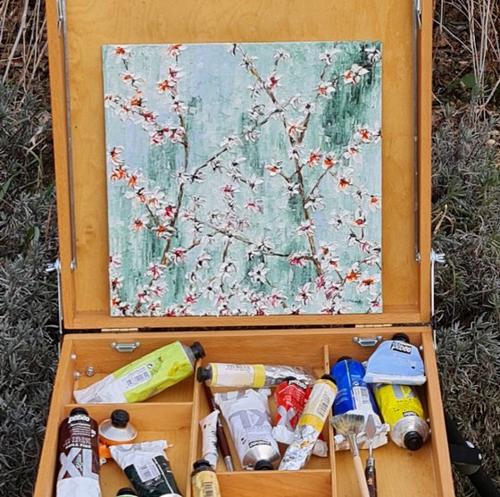 Cherries in bloom 2