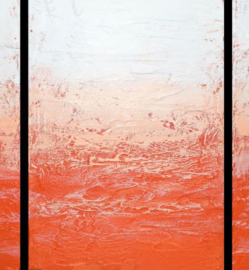 tangerine Triptych orange gift 3 panel canvas by Stuart Wright