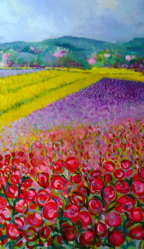 Poppyfields 2024 by Lesley Blackburn