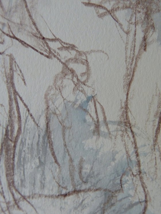 In the woods 1