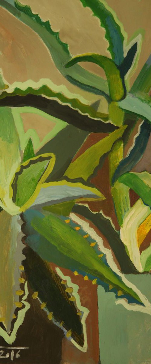 My plants by Marina Gorkaeva