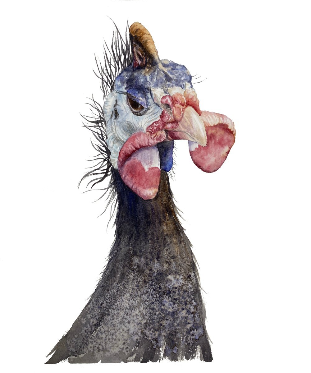 Impressionistic Animal Watercolour By Tetiana Savchenko, 8 X 10", Guinea Fowl Bird, Original Artwork