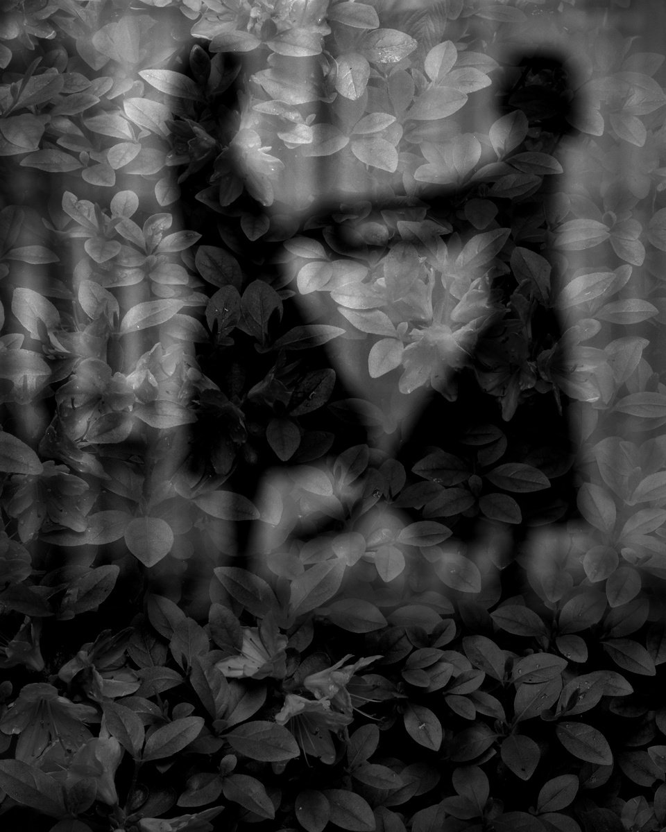 Impressionistic Portrait Photograph By Shelton Walsmith, 40 X 50", June And Kassia, Original Artwork