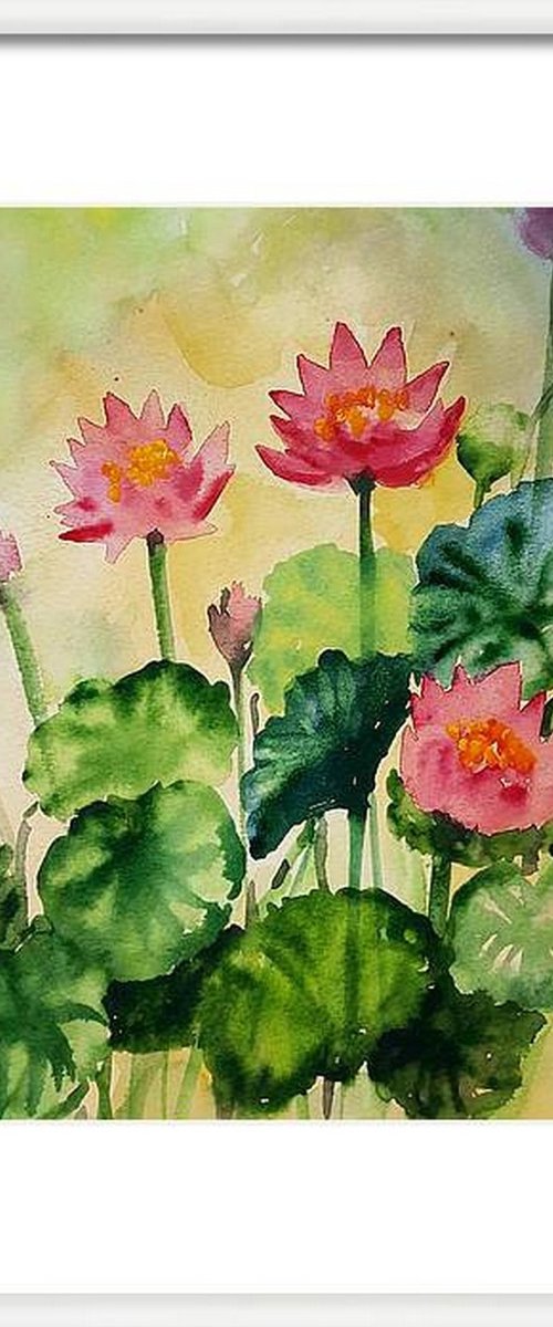 Sunset Water lilies 2 by Asha Shenoy