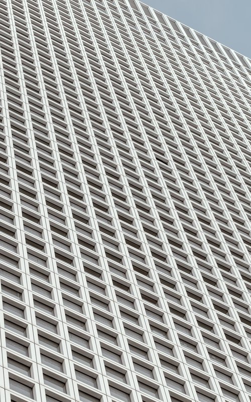 Skyscraper by Lidiya Dmitrieva