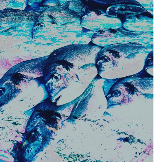 Photo Collage Colorful Fish