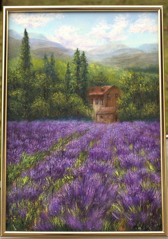 Lavender landscape in Provence