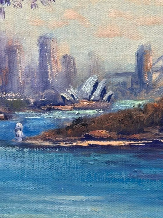 Morning Views Sydney