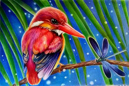 Rufous Backed Kingfisher . by Raffaella  Picotti