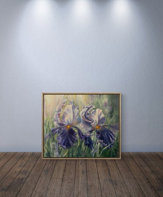 Morning Irises