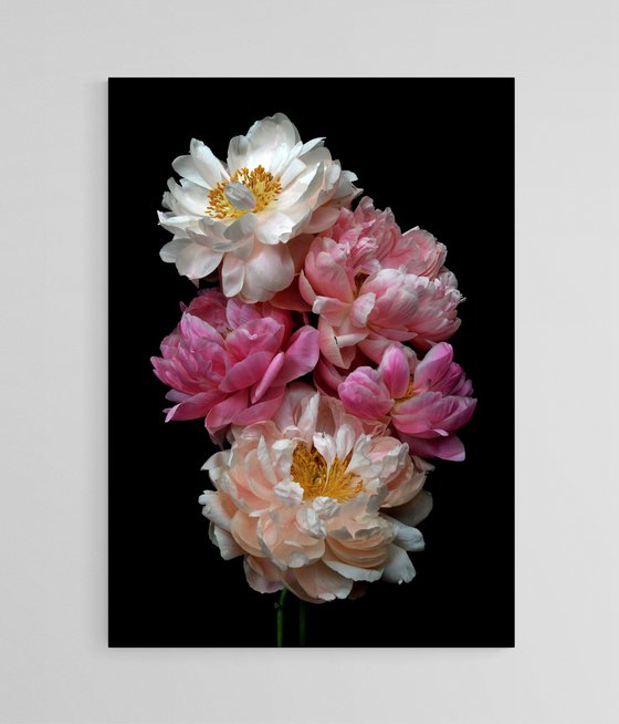 Peony Posy