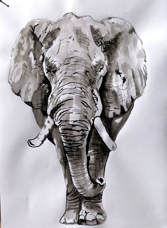 Elephant Acrylic Painting By Soso Kumsiashvili Artfinder