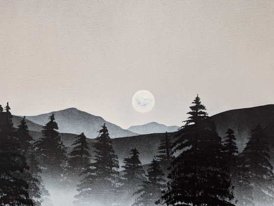 Stillness Among the Pines