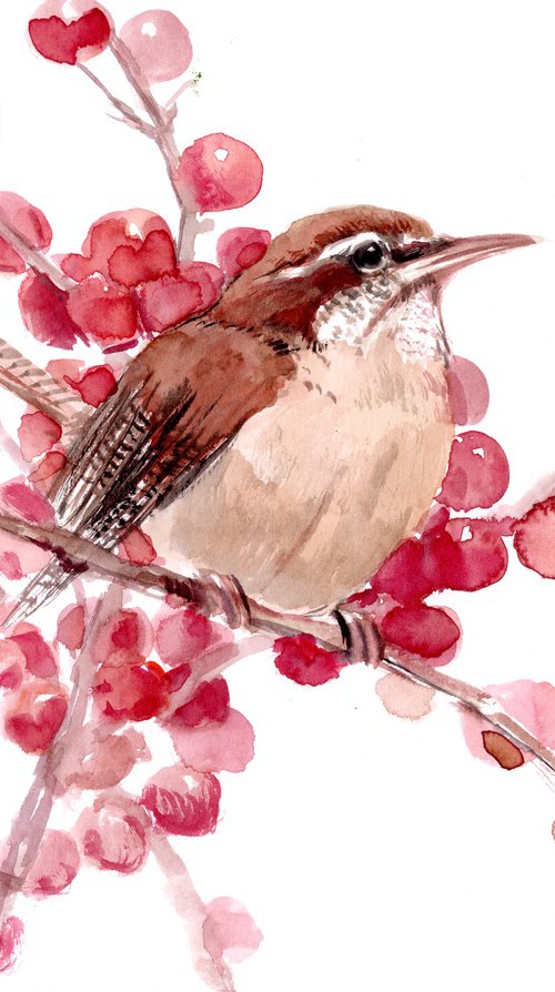 Carolina Wren by Suren Nersisyan