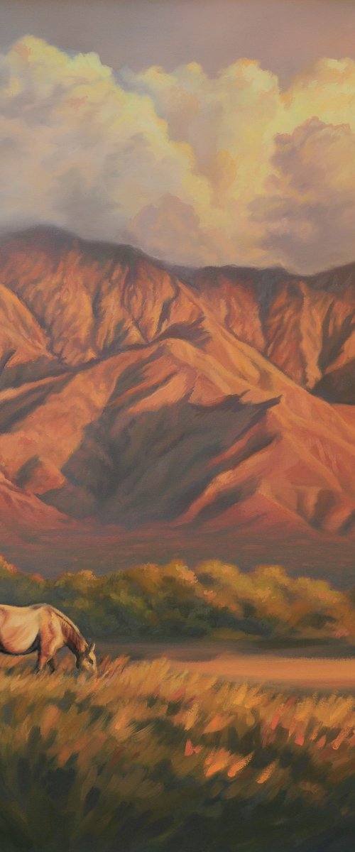 "El último rayo" by Yamil Picco